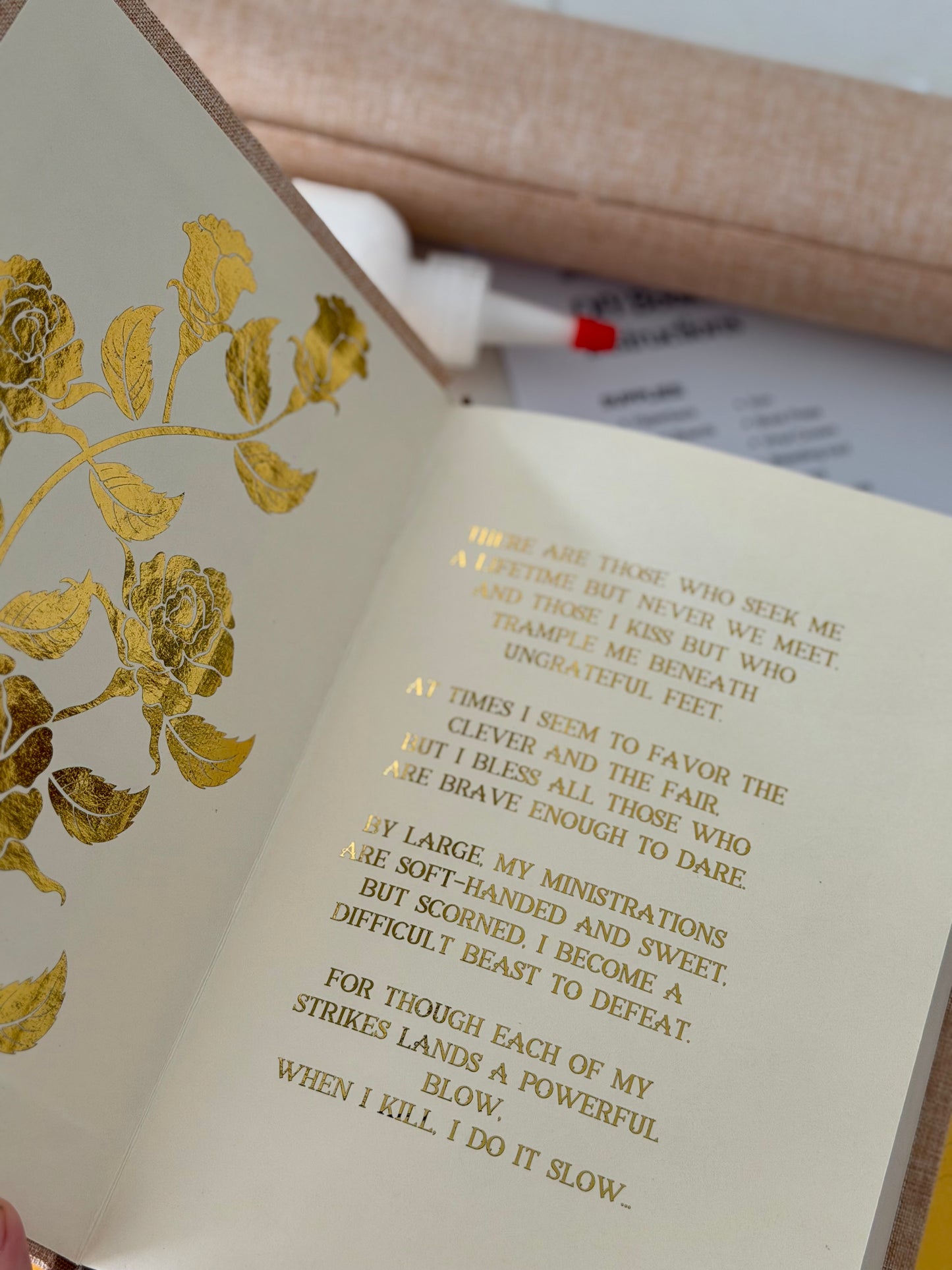 DIY Rebinding Kit (no book) A Court of Thorns and Roses