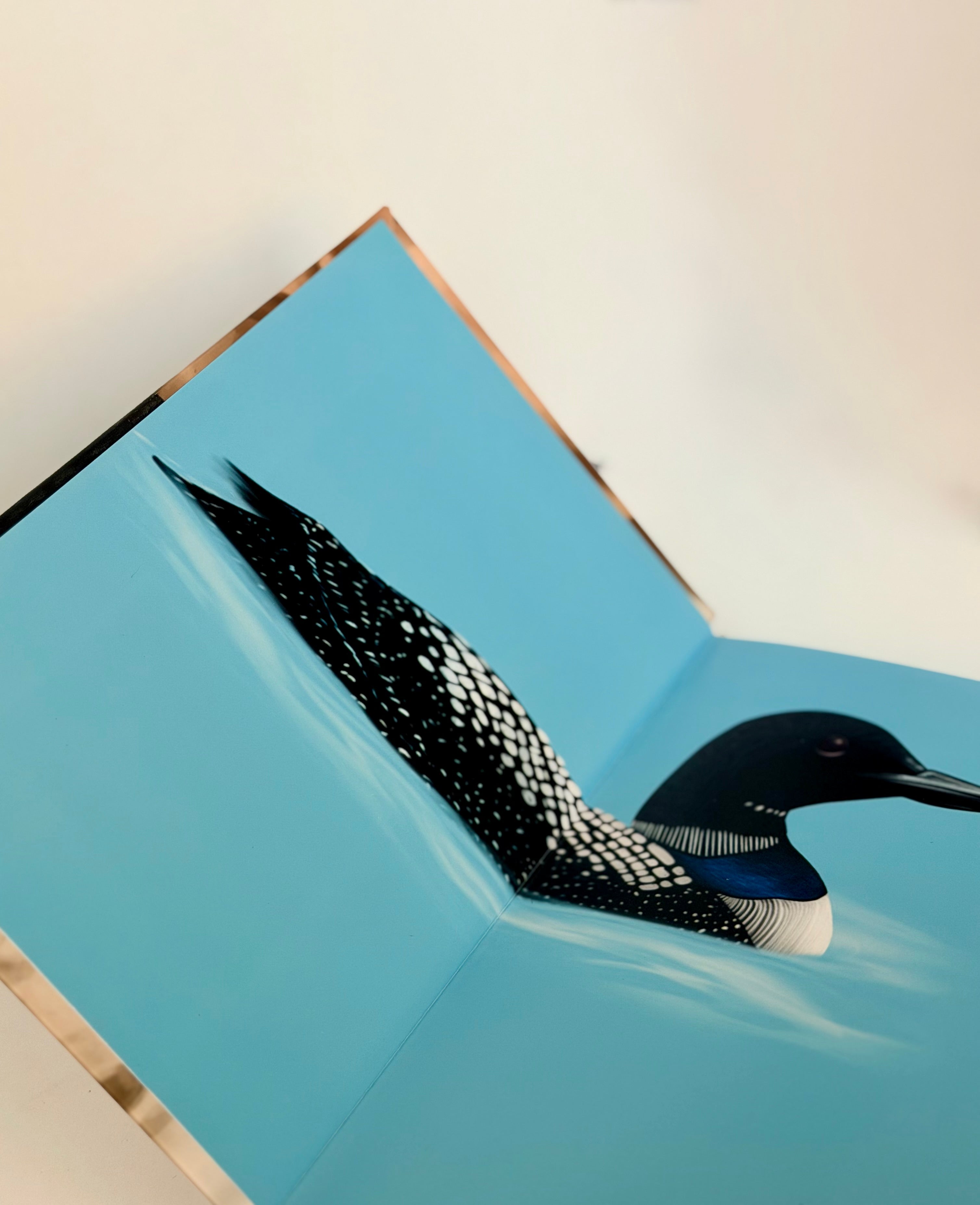 Heated Rivalry Rebind IC illustration